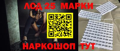spice Кимры