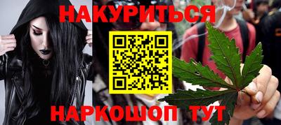 прущие крисы Кингисепп