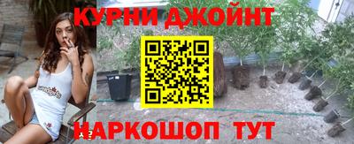 прущие крисы Кингисепп