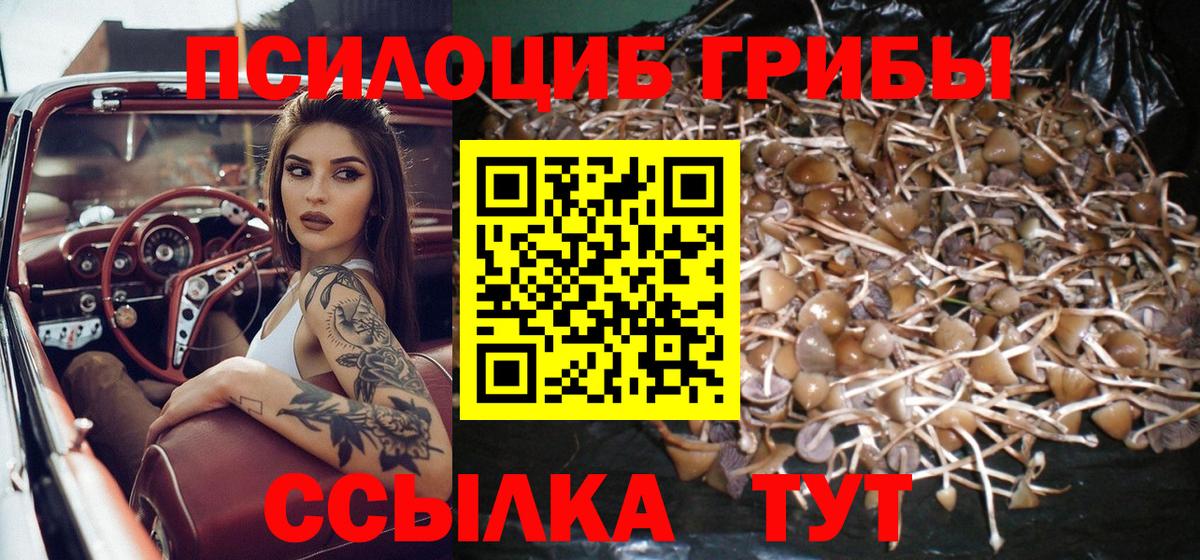 Галлюциногенные грибы ЛСД Ставрополь