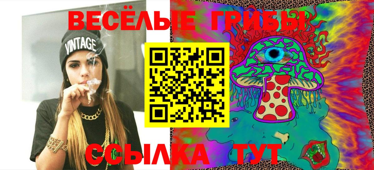 Ставрополь  Псилоцибиновые грибы Psilocybe  Вход с VPN 