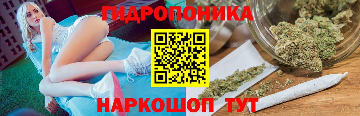 Каннабис Bruce Banner Ставрополь